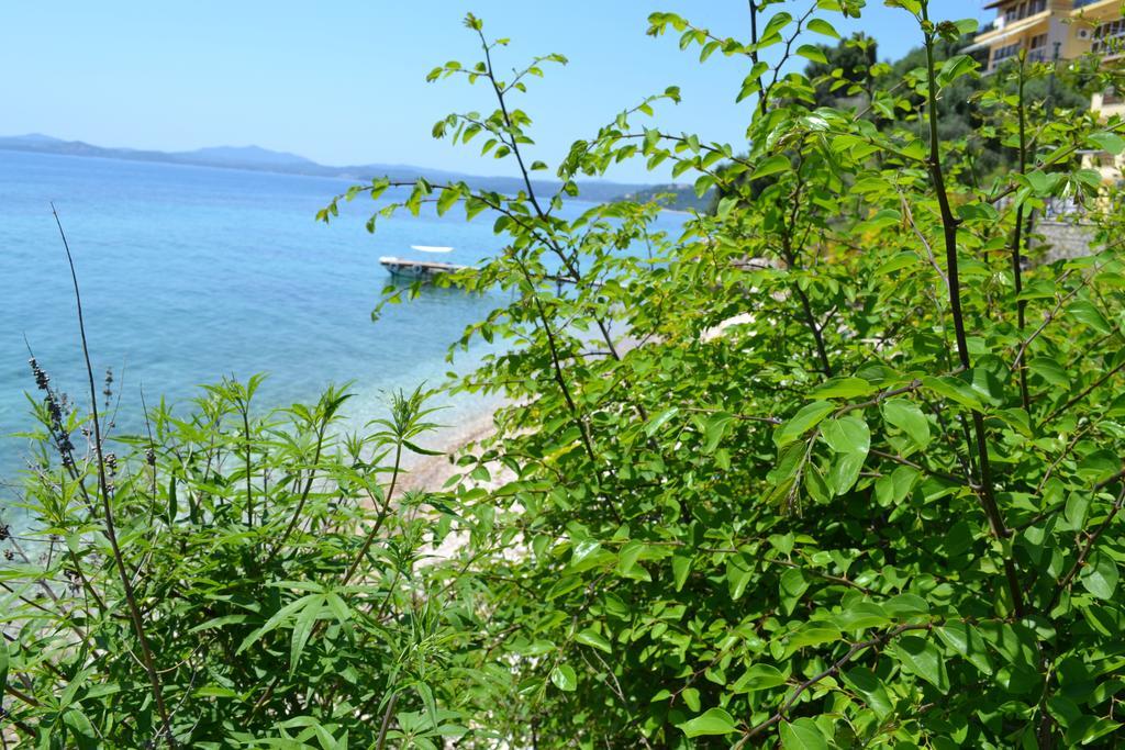 Glyfa Corfu Apartments Barbati Exteriör bild